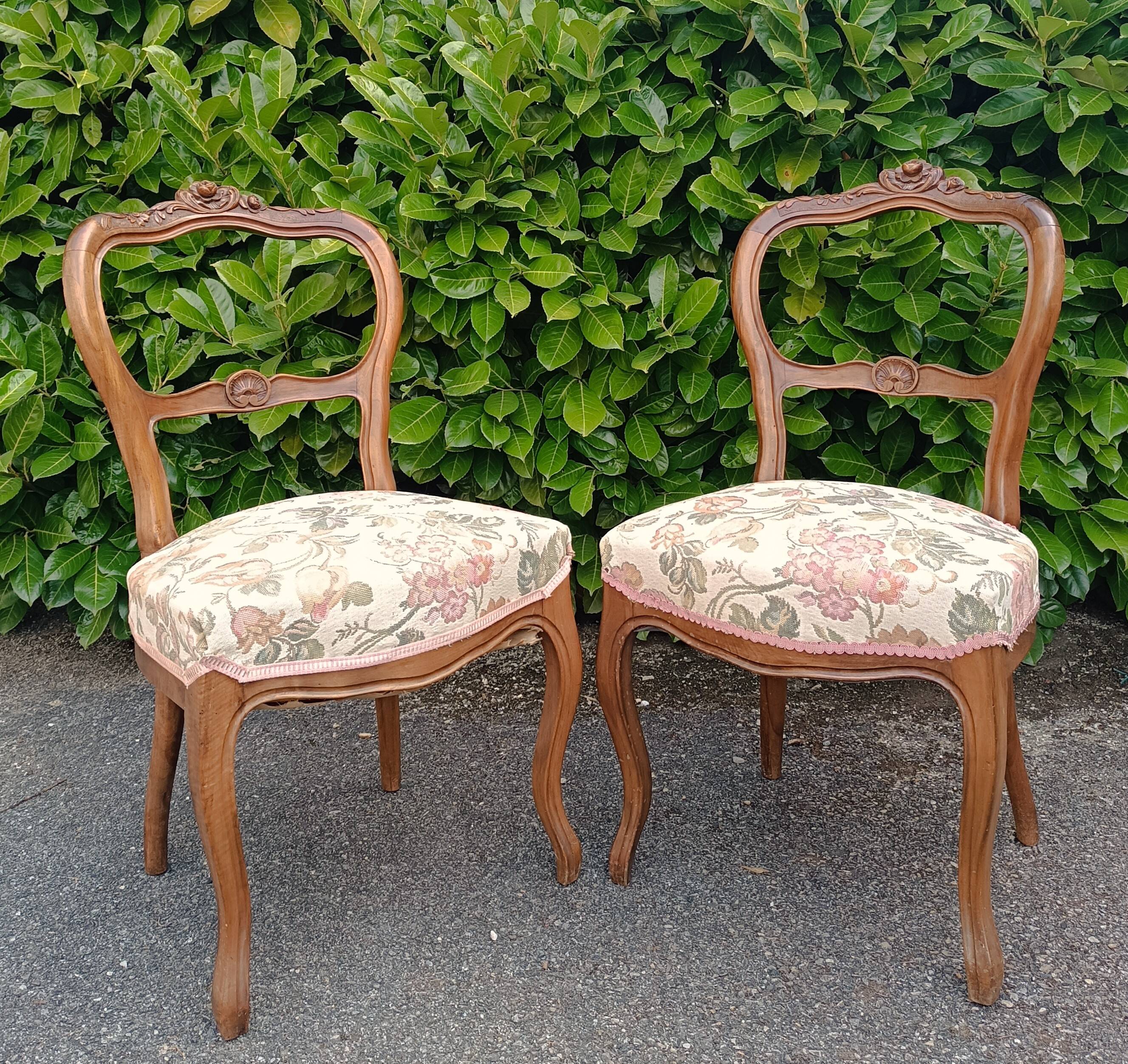 Pair of Louis XV chairs in carved walnut.