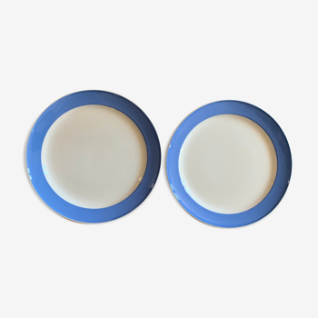 Duo assiettes Villeroy & Boch