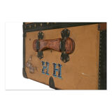 Moynat travel trunk