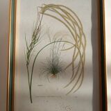 Two botanical drawings