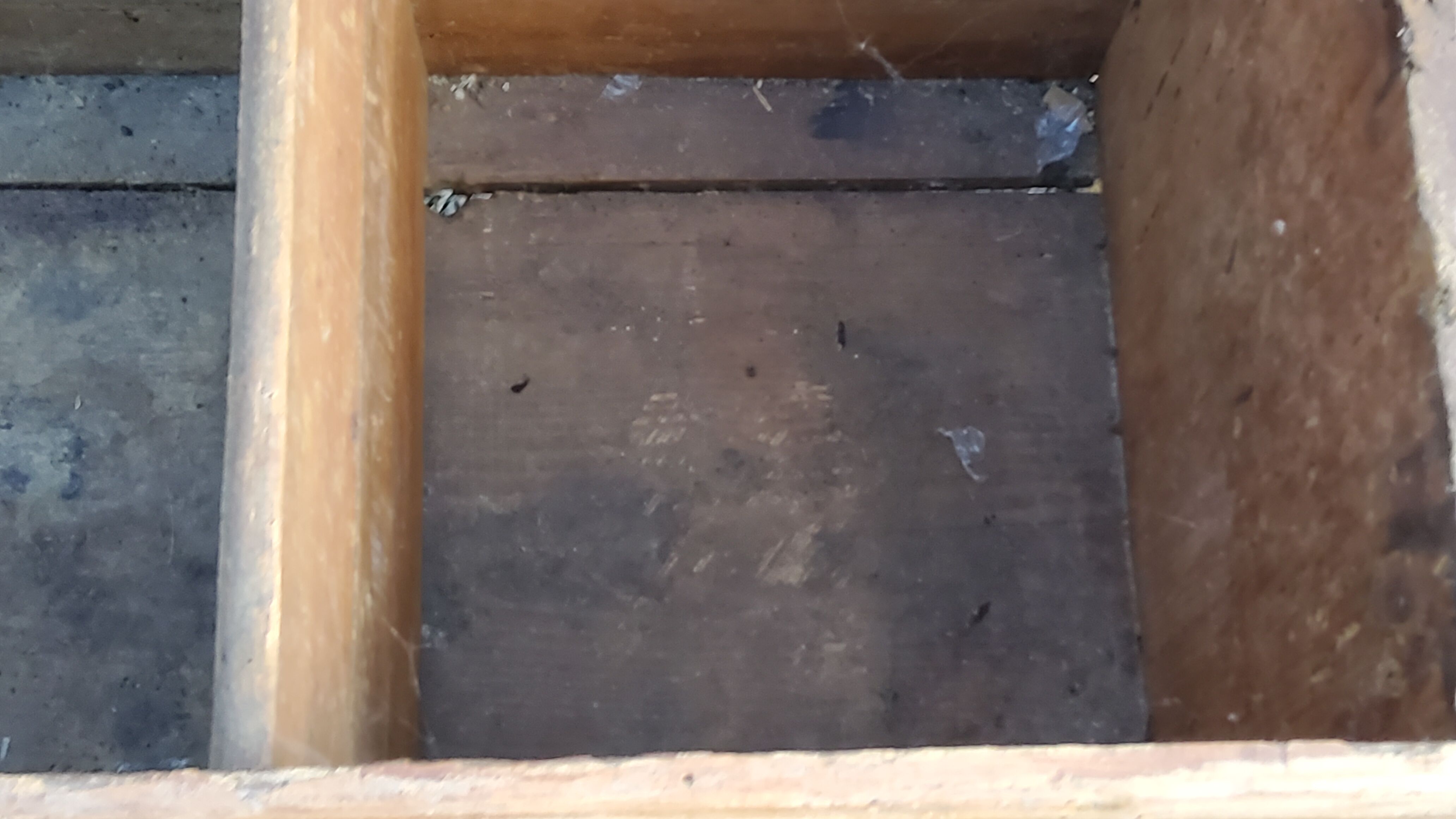 Alsatian polychrome wedding chest eighteenth -nineteenth century