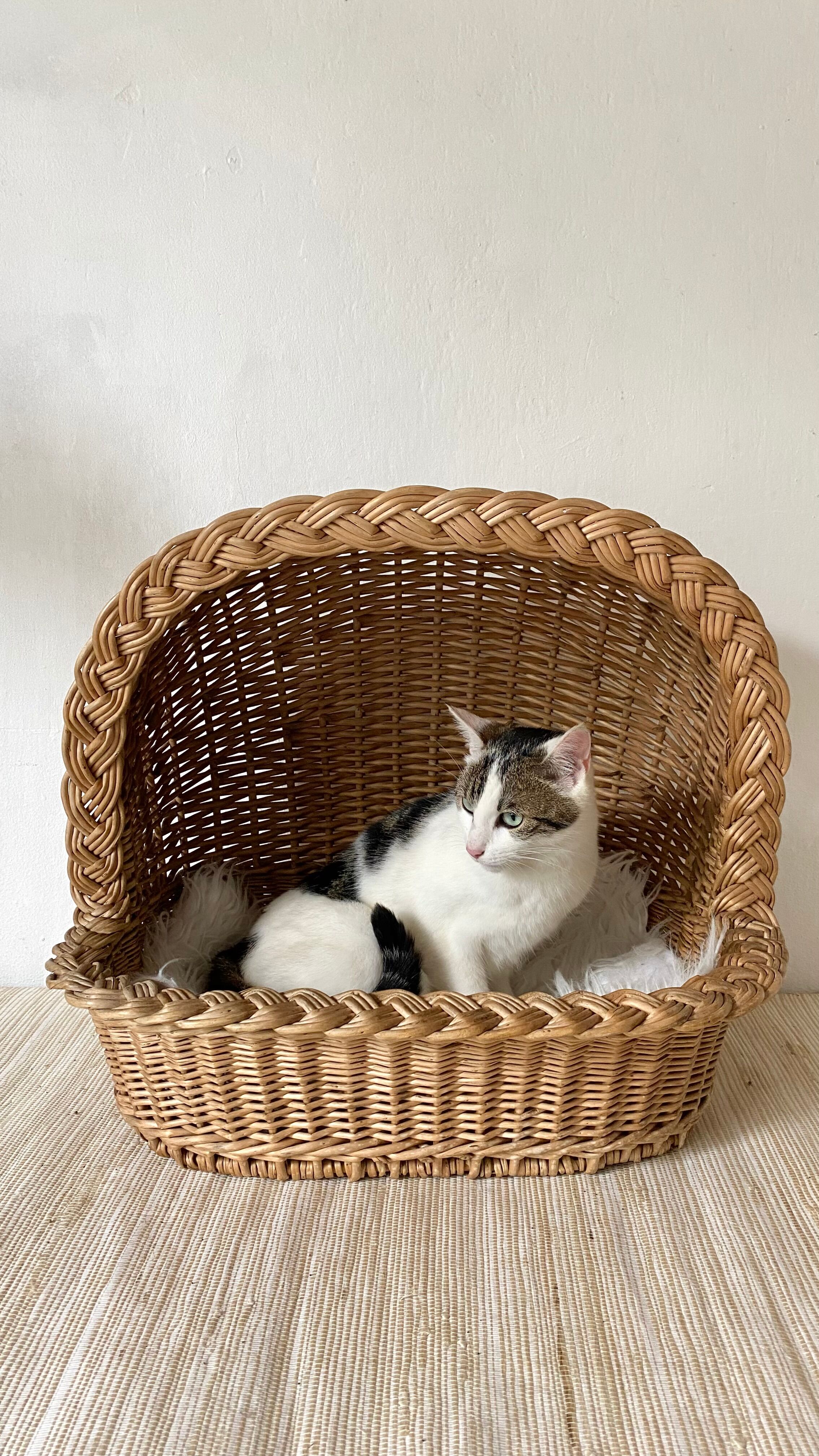 Woven wicker cat basket