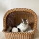 Woven wicker cat basket