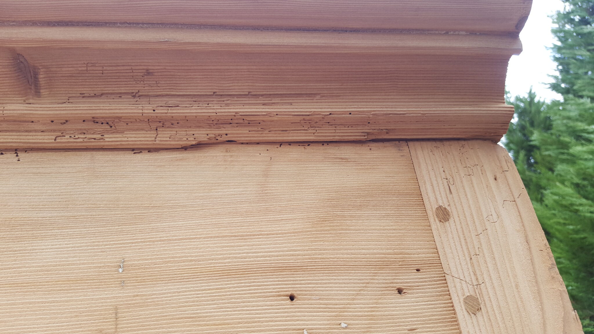 Armoire en sapin ancienne sablée brute