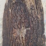 Cork oak bark dish