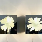 C-1540.00 Wall appliques Lichtreliëf by Raak Amsterdam, Netherlands, 1960s.