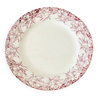 Assiette plate ancienne en Terre de Fer rose LG