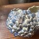 barbotine planter signed A.G De Bruyn