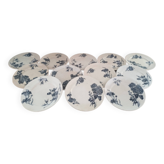 Lot de 12 assiettes plates Art Nouveau 1890-1910 en Terre de Fer modèle Pissenlit bleu-nuit