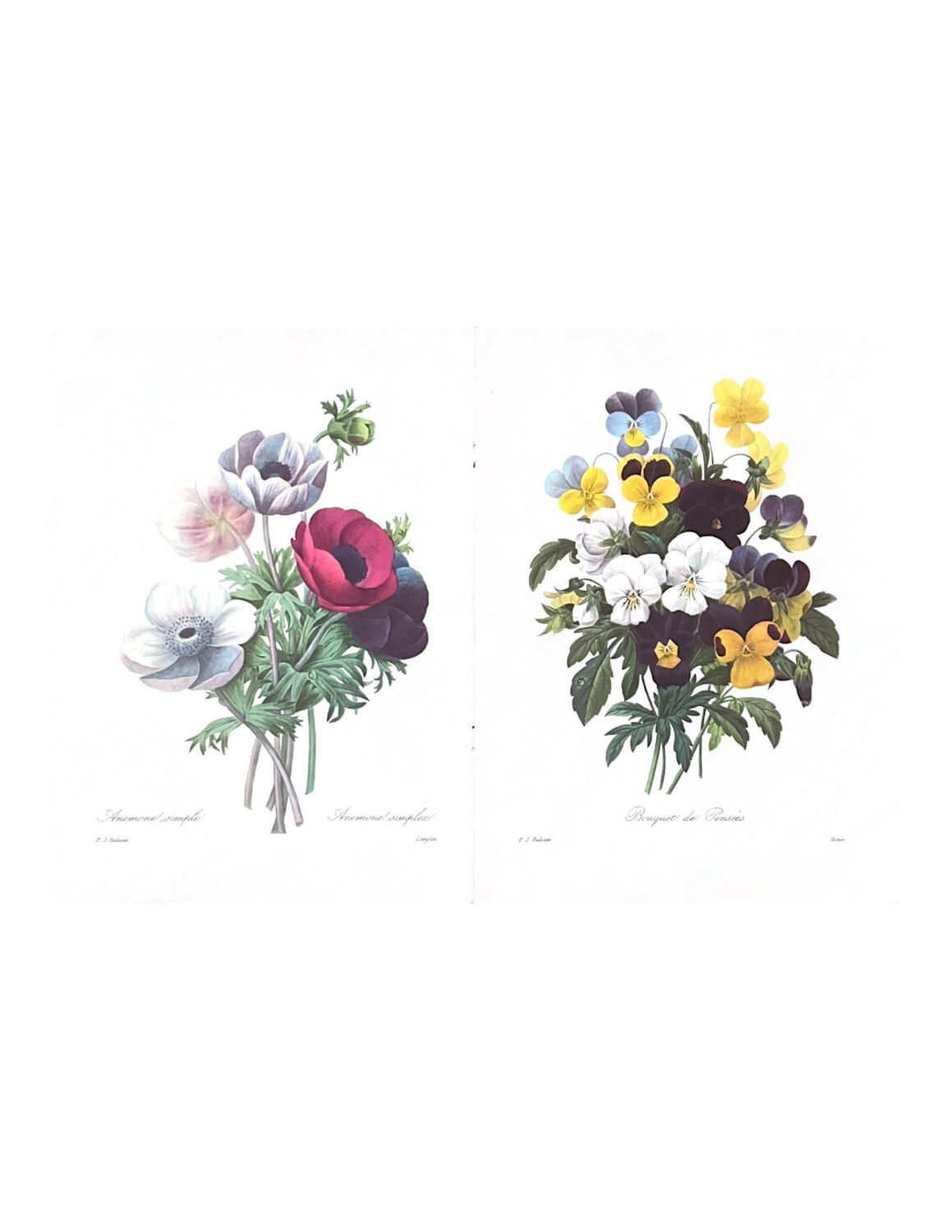 The bouquets of spring - PJ Redouté