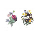 The bouquets of spring - PJ Redouté