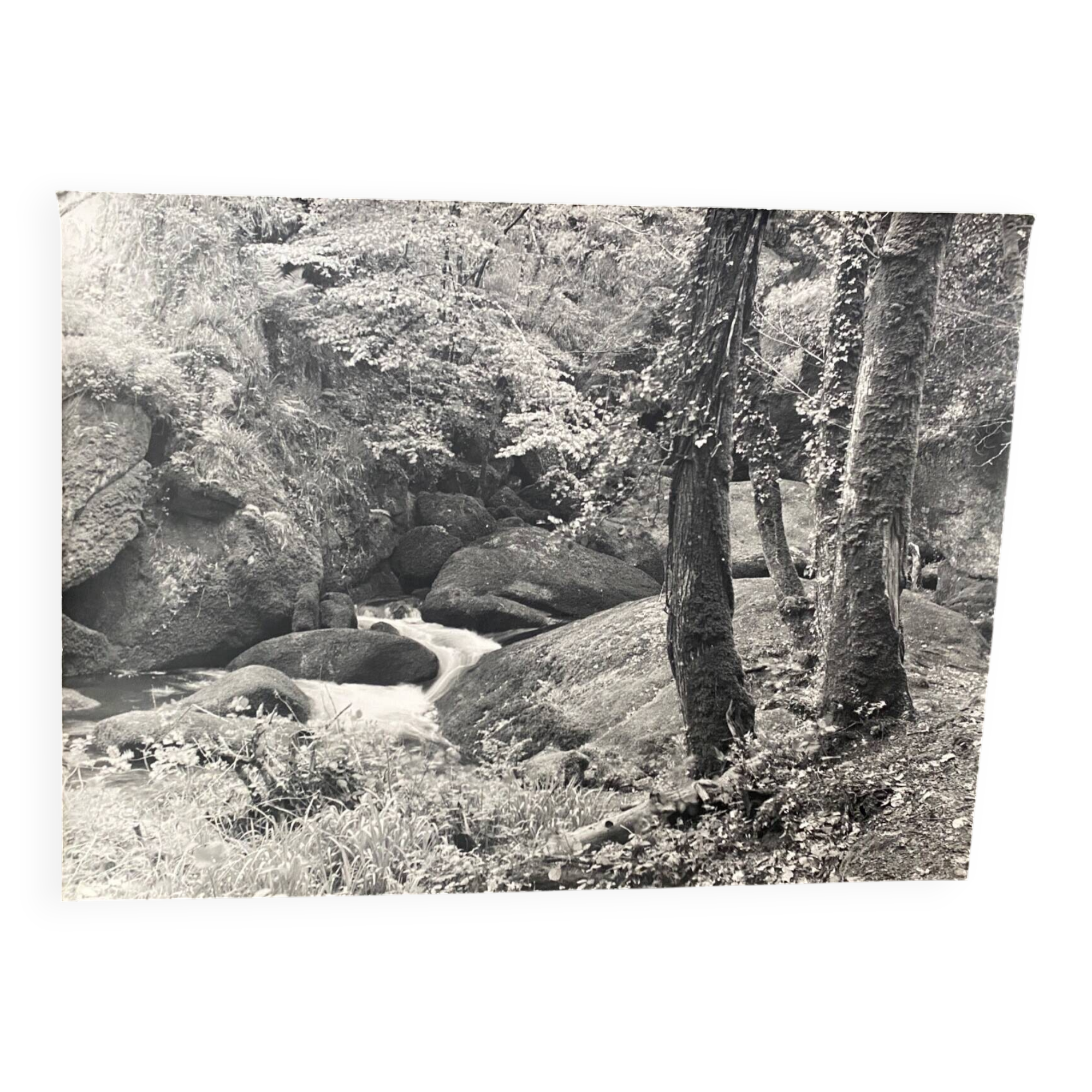 Silver photo Bernard Darot 20th small torrent