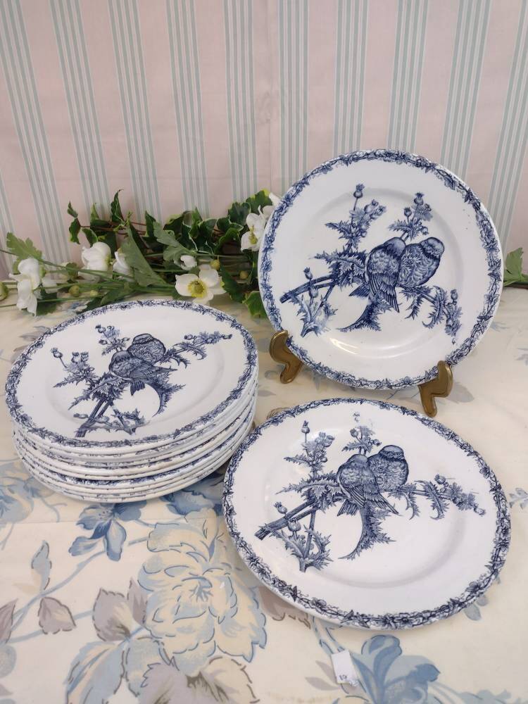 Set of 11 goldfinnets clairefontaine dessert plates