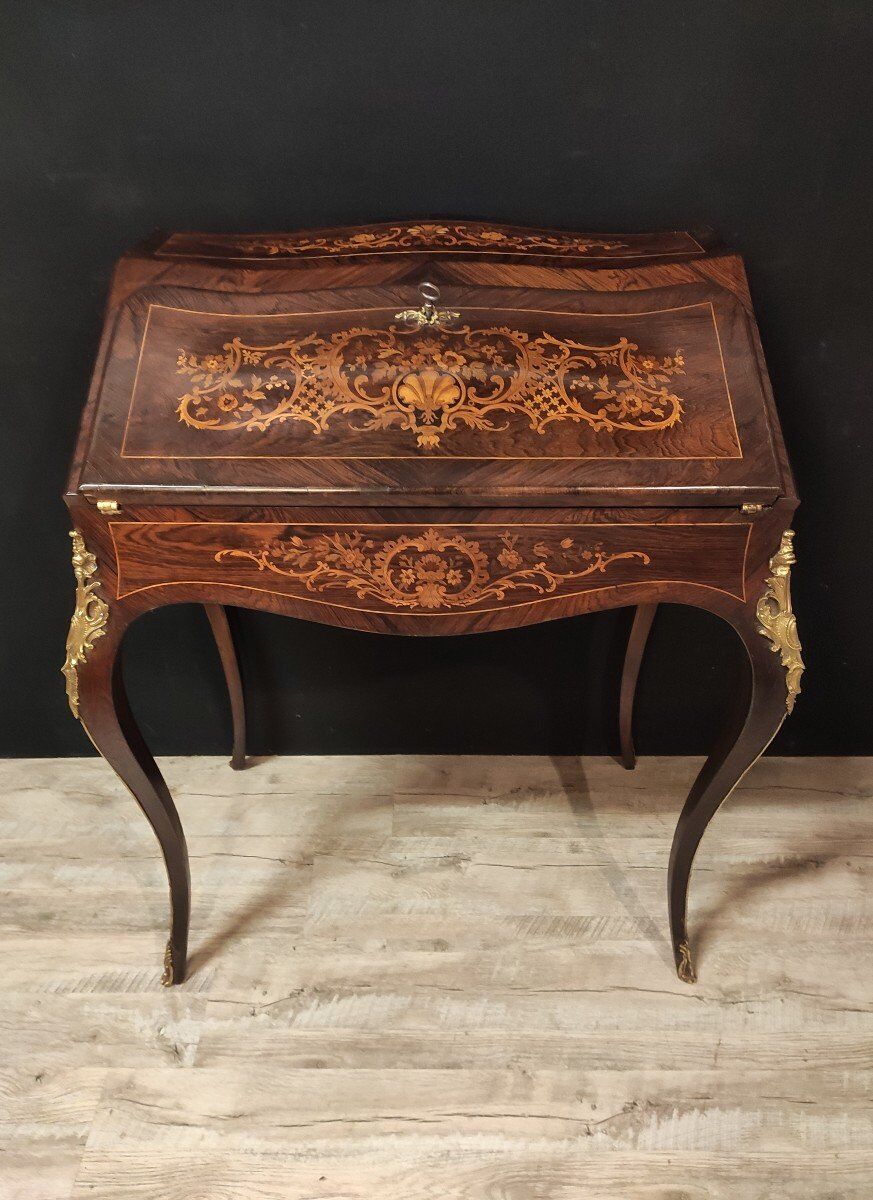 Secretary donkey back Napoléon III style