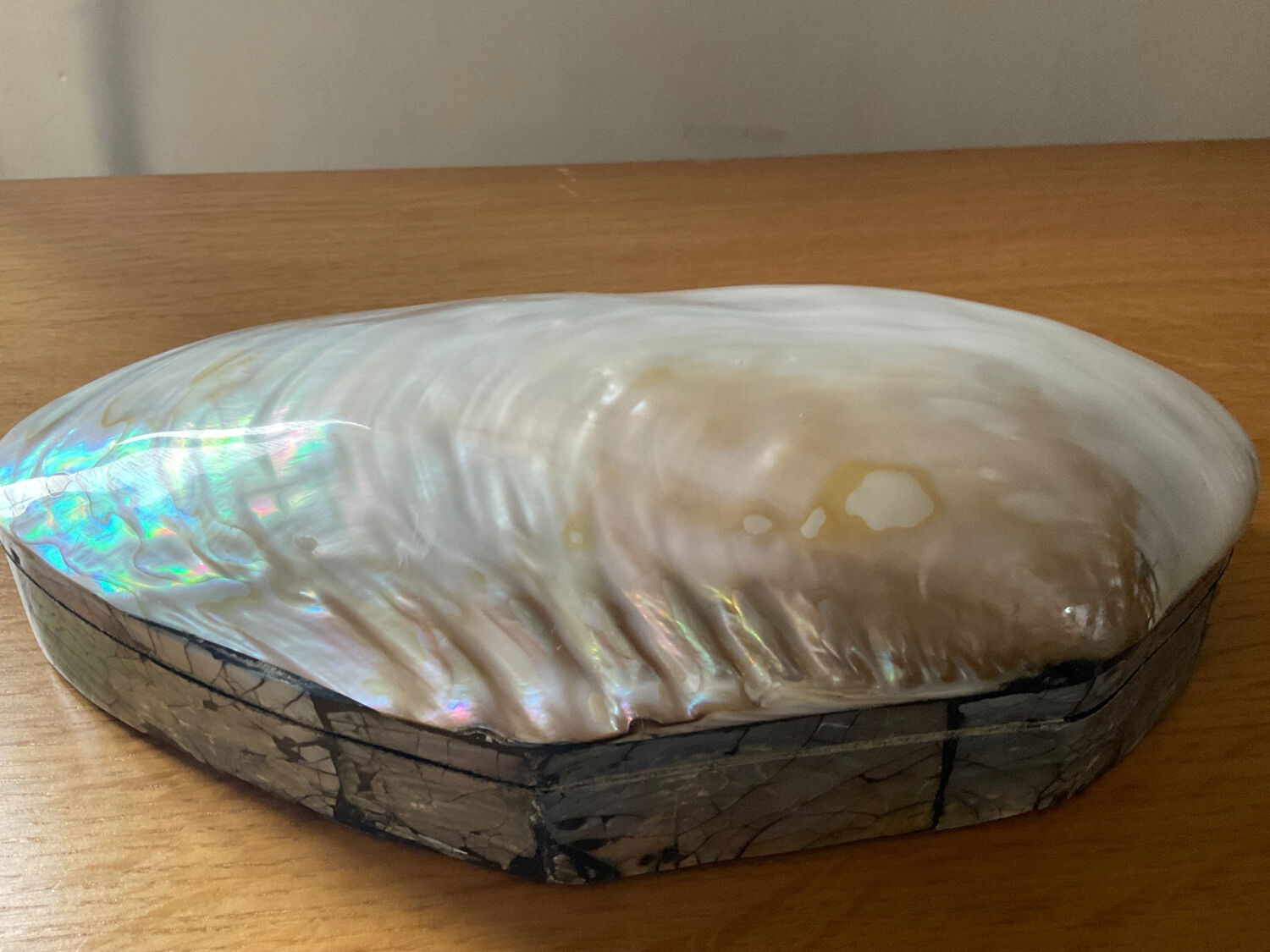 Empty pocket vintage shell mother-of-pearl 70s