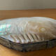 Empty pocket vintage shell mother-of-pearl 70s