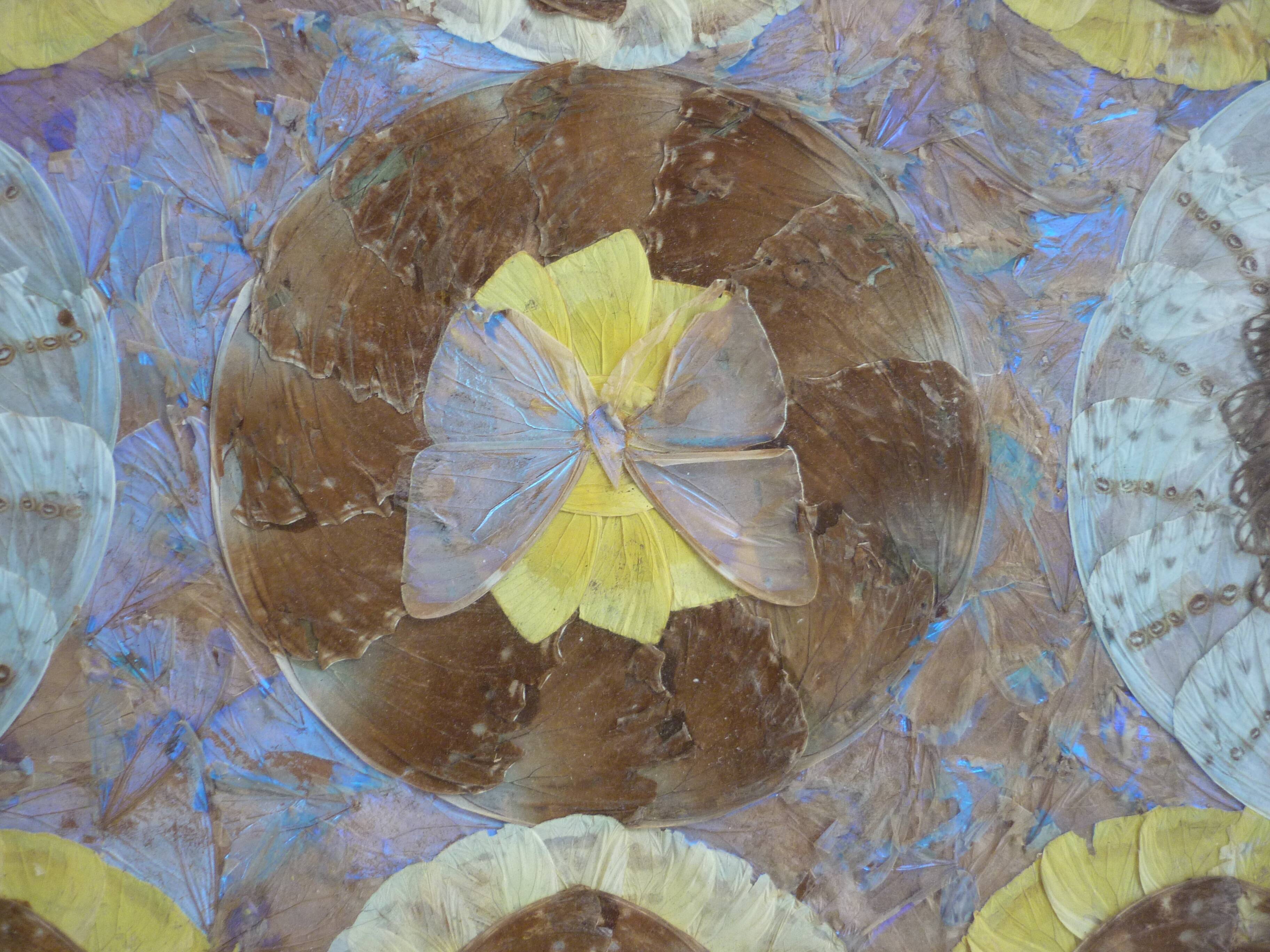 Butterfly wing top and wood marquetry