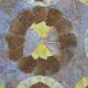 Butterfly wing top and wood marquetry