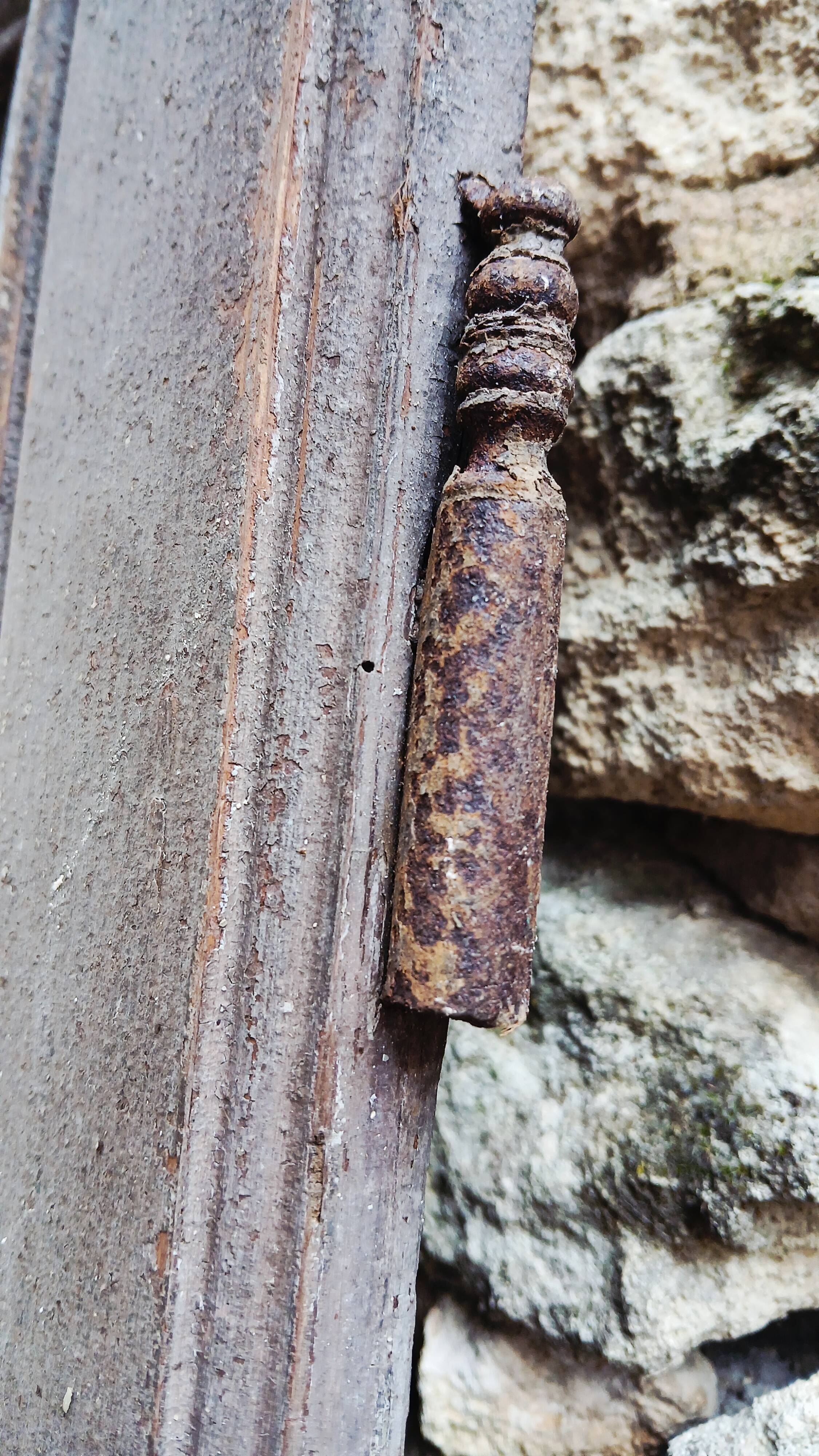 Pair of antique doors