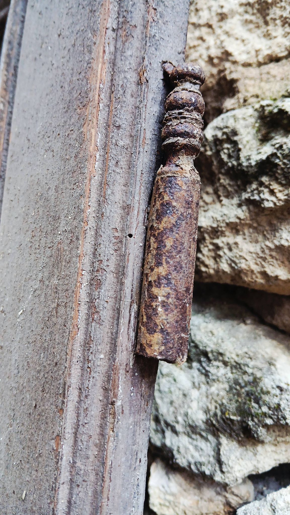 Pair of antique doors
