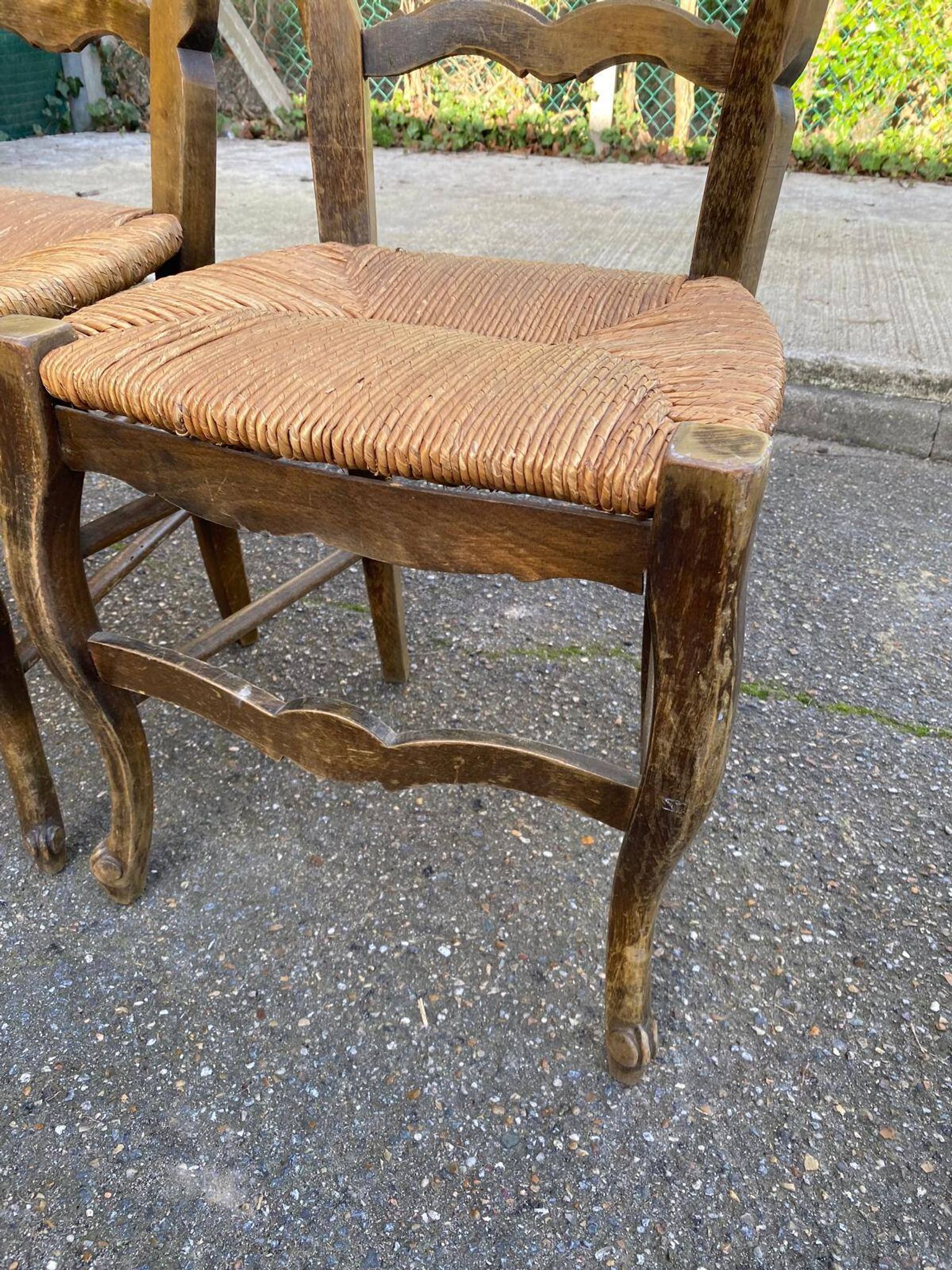 2 solid oak carved and rush-seated chairs in the Louis XV style from the 19th century.