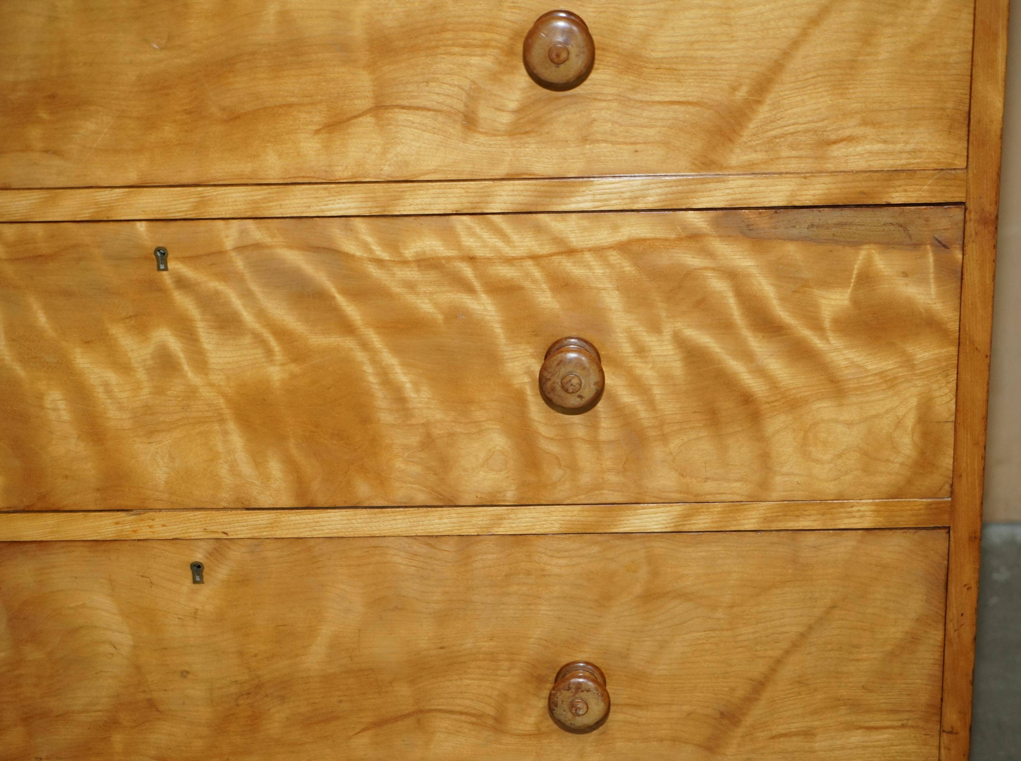 Victorian Commode in Satin Birch by Holland & Sons 1880