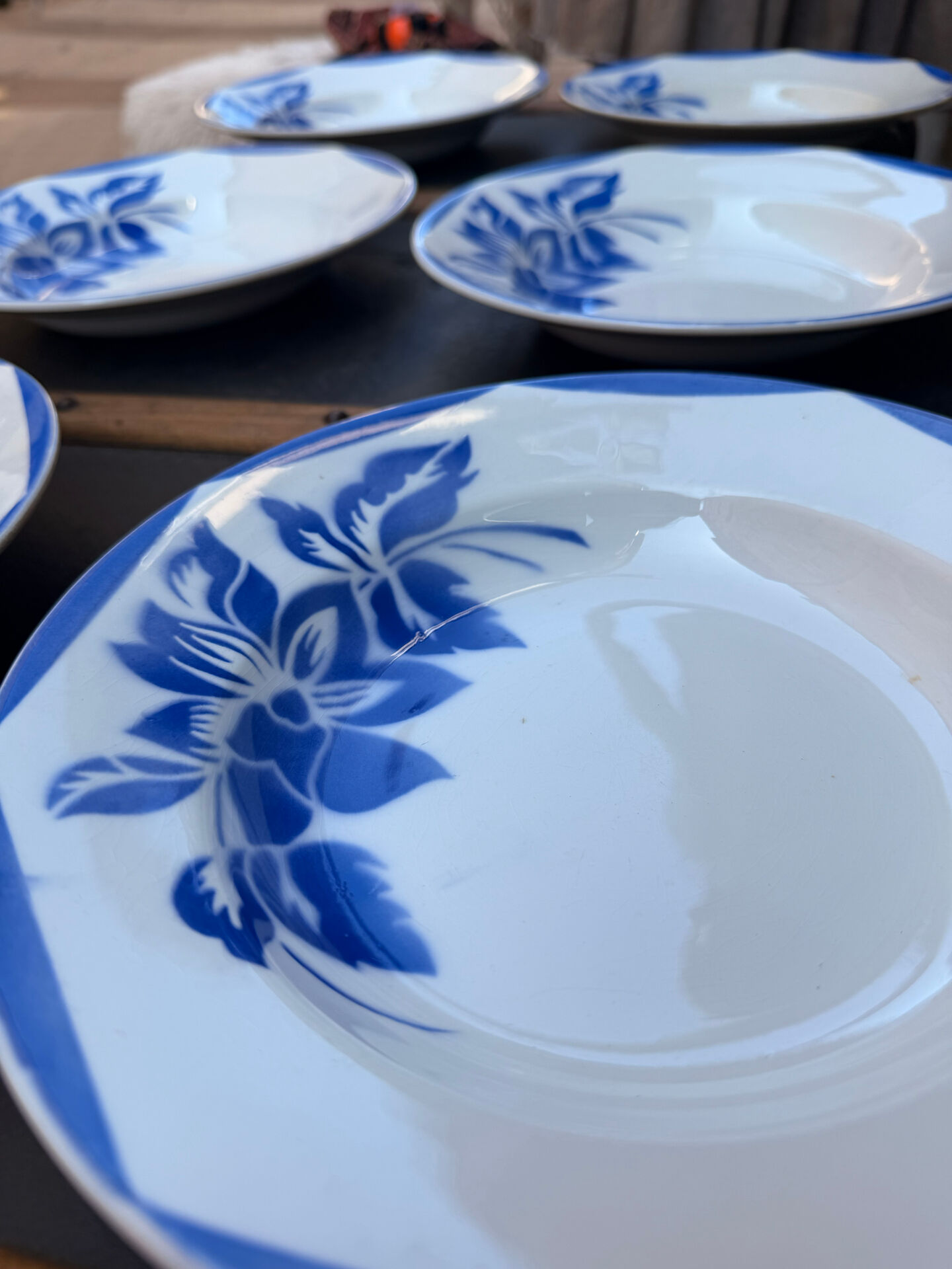 6 deep plates in Sarreguemines Digoin earthenware