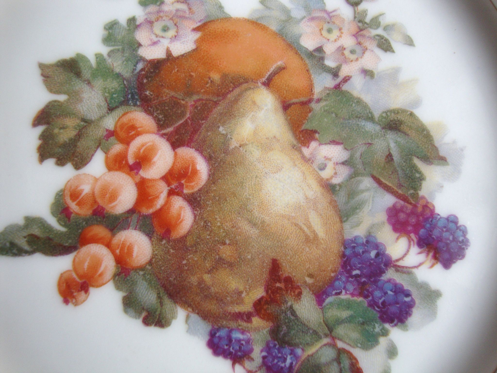 Set of 5 antique Limoges porcelain plates L.J.V with fruit decoration