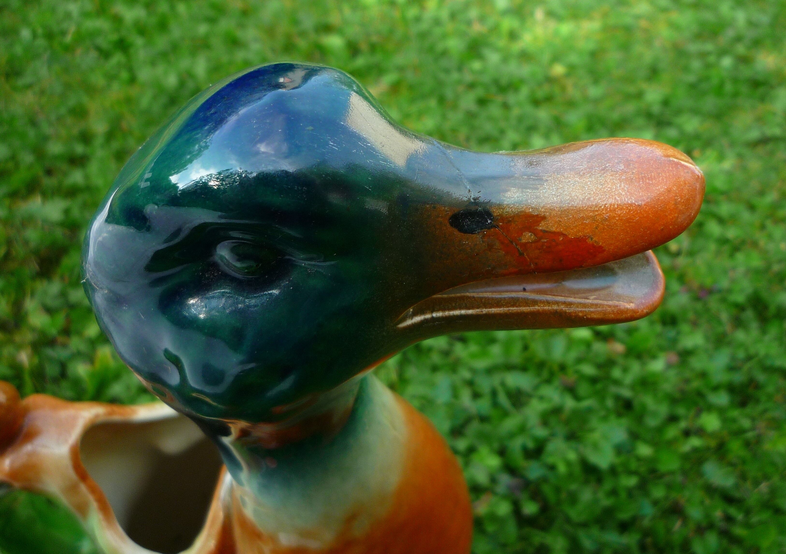 Pitcher duck slurry Saint-Clément