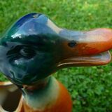 Pitcher duck slurry Saint-Clément