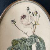 Set of three frames medallions