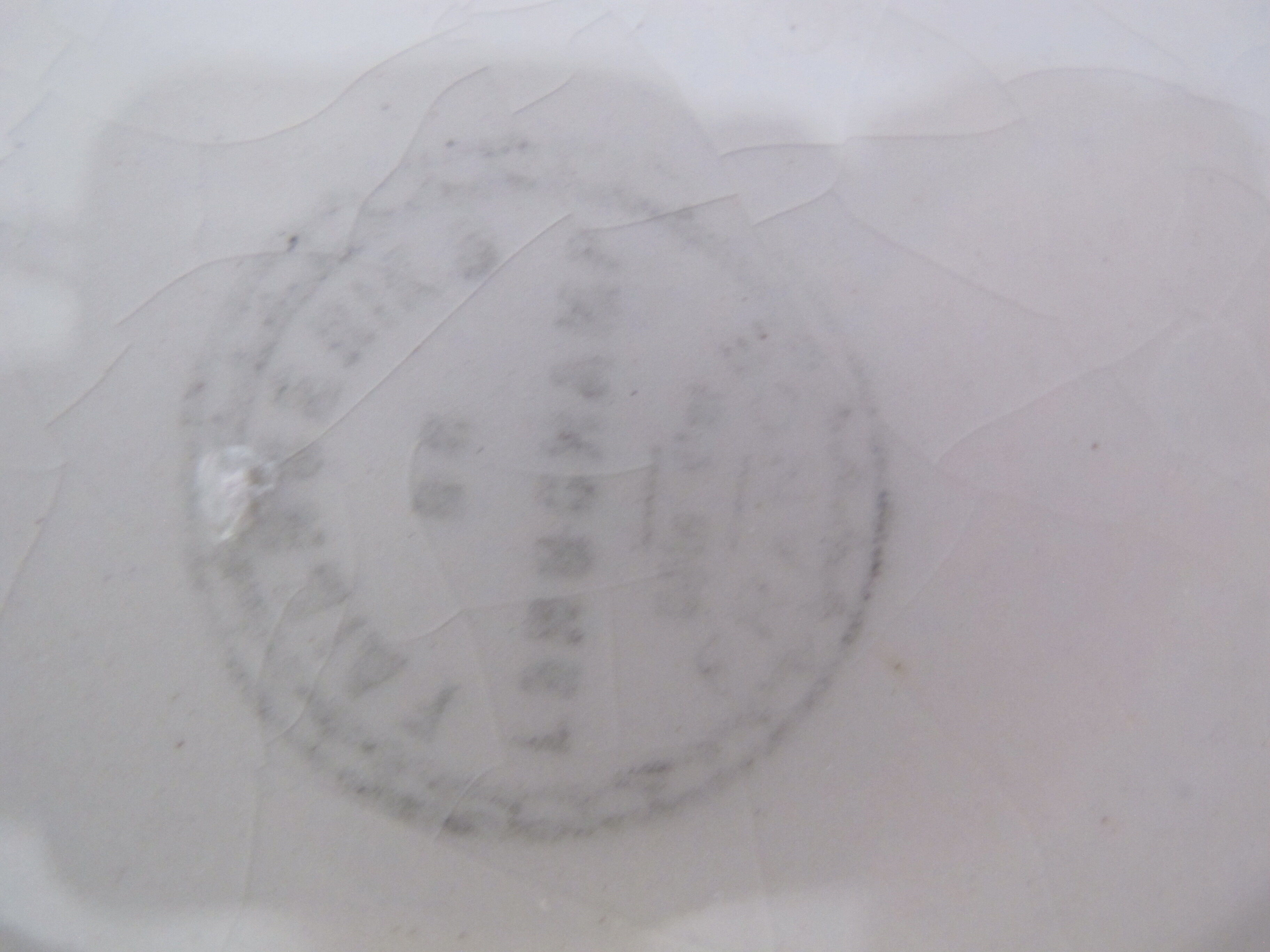 Longchamp earthenware serving dish, "Volubilis" model