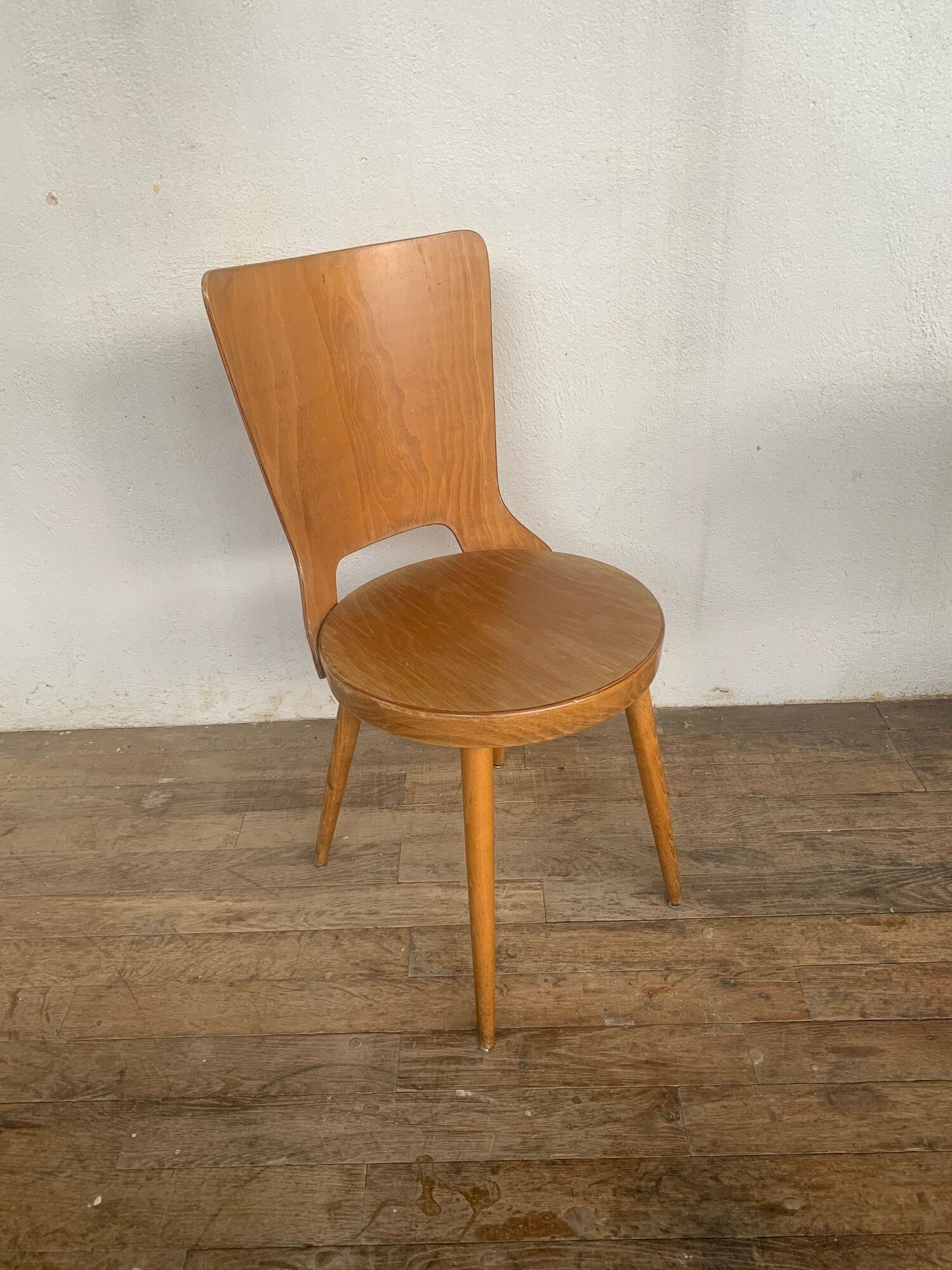 Series of 6 chairs bistro Baumann model Dove year 1950/1960