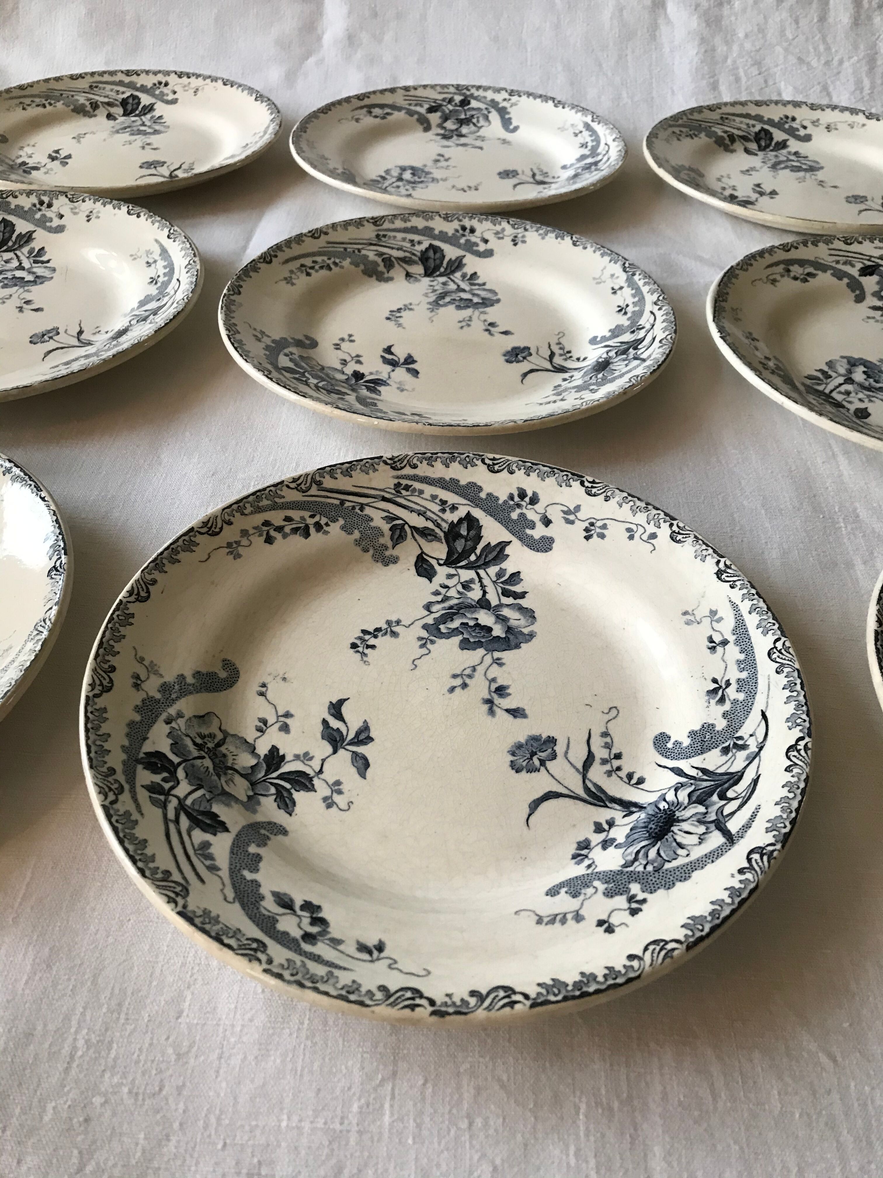 Lot of 6 flat plates "Terre de Fer" model Pornic