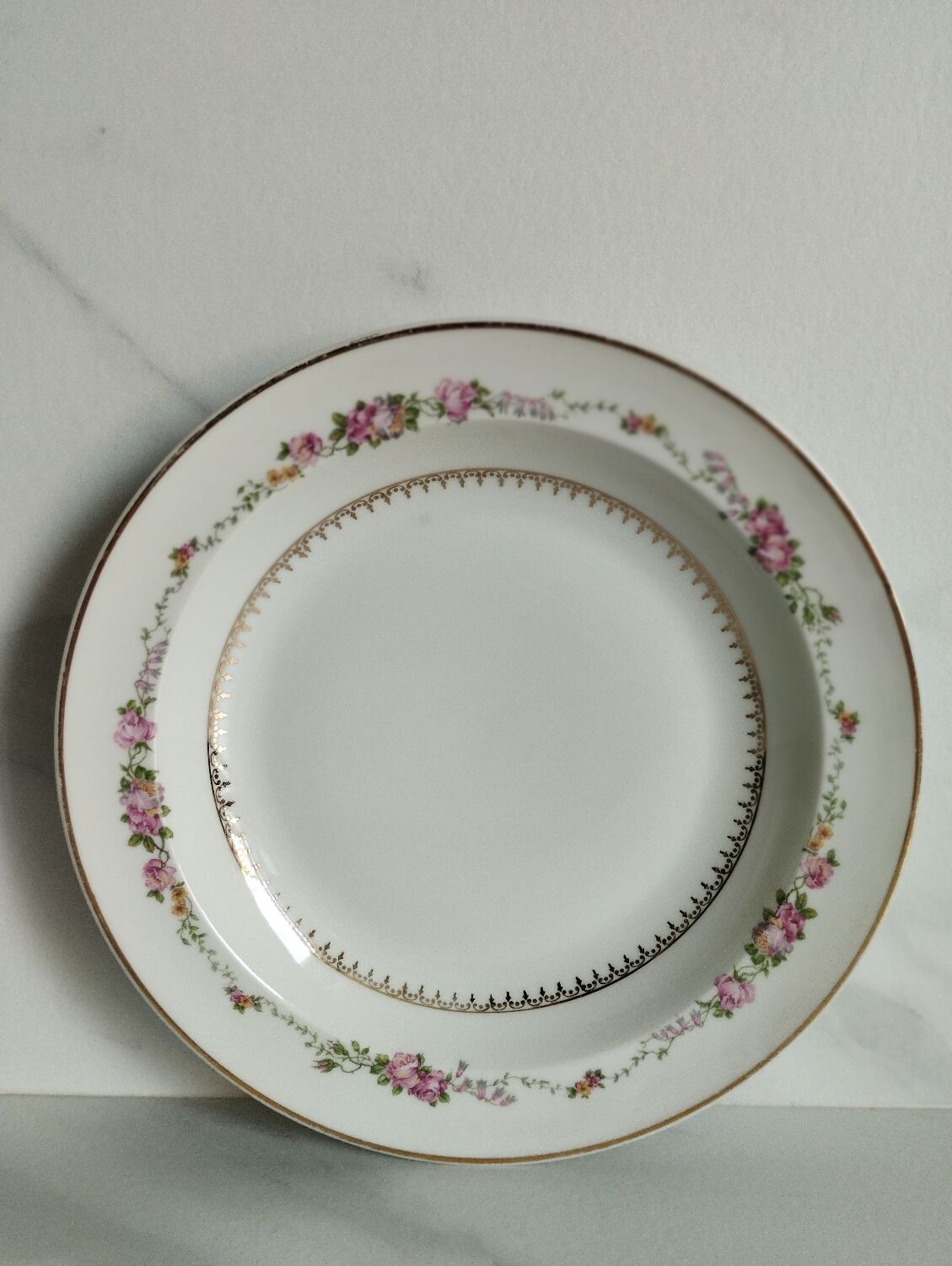 Deep plates Bardet Limoges France