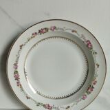 Deep plates Bardet Limoges France