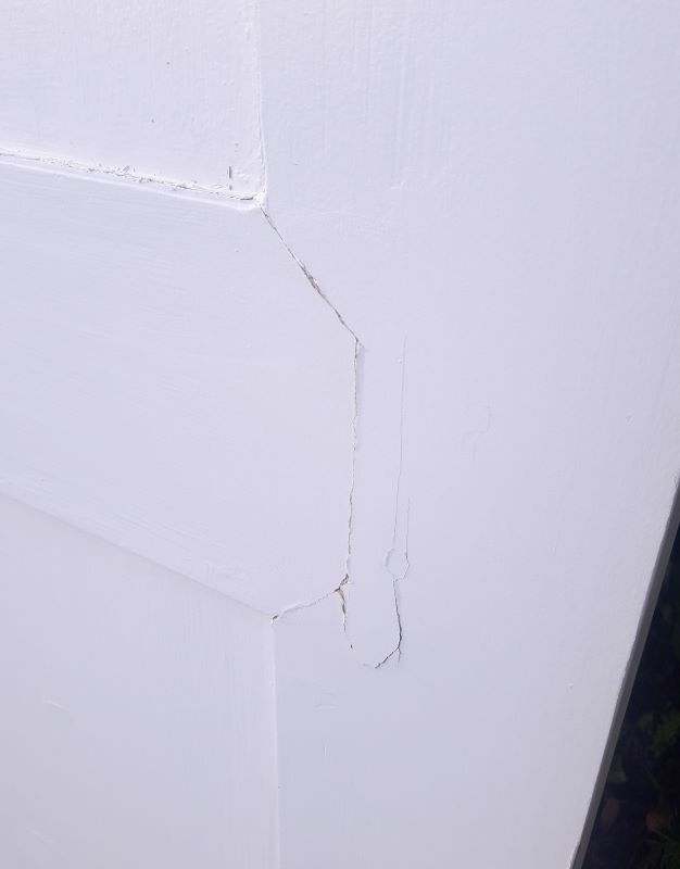 Pair of doors 229,5x110cm closet