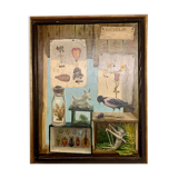 Oil on canvas, natural science composition