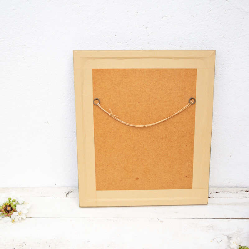 Reproduction of passerine birds by Murr ornithological board