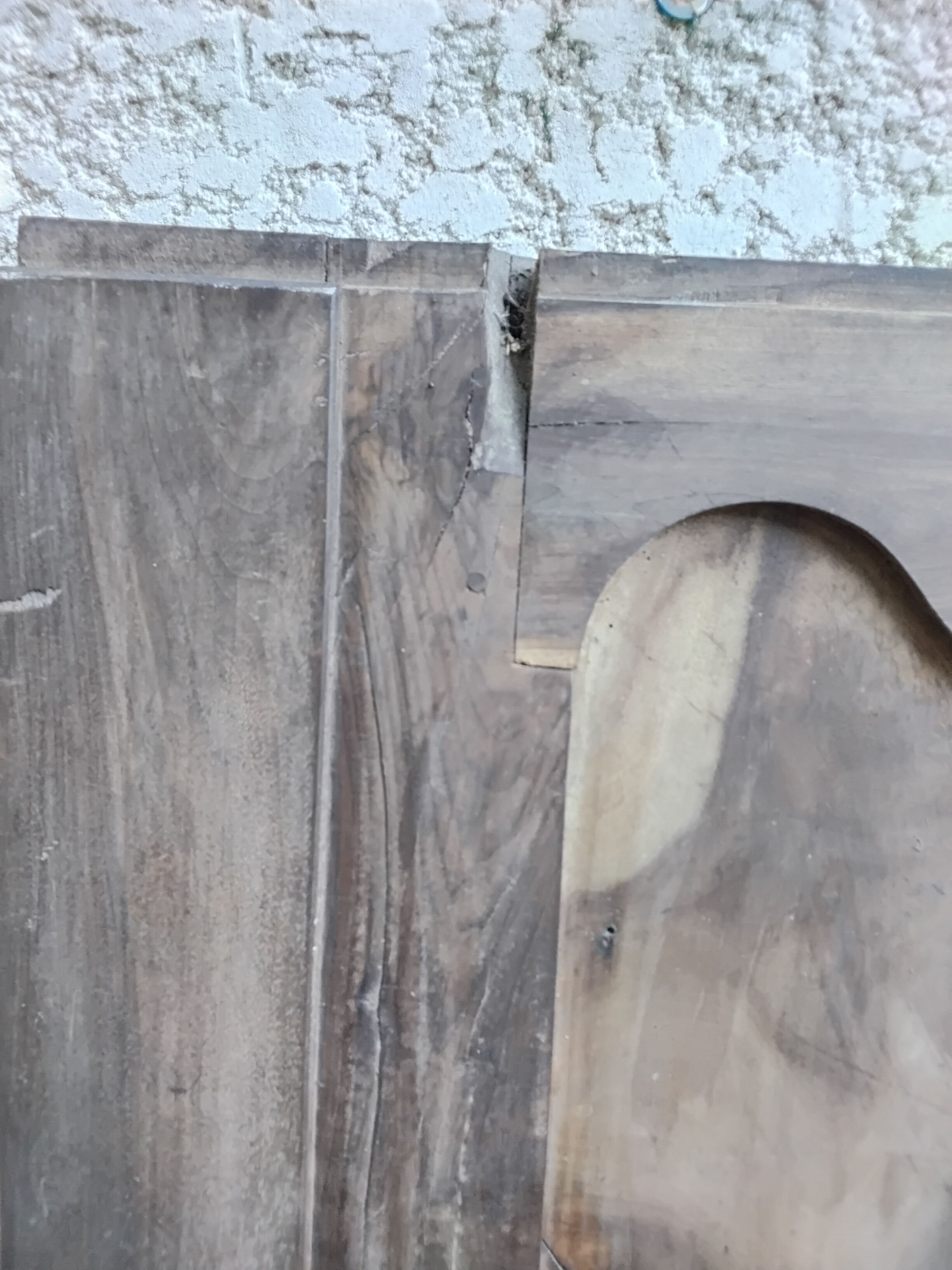 Pair of antique doors in 18th-century Louis XV style.