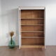 Antique library showcase