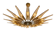Dahlia Chandelier by Max Ingrand for Fontana Arte