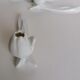 6 white porcelain knife holders