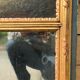 Trumeau mirror painting scene gallant gilded wood