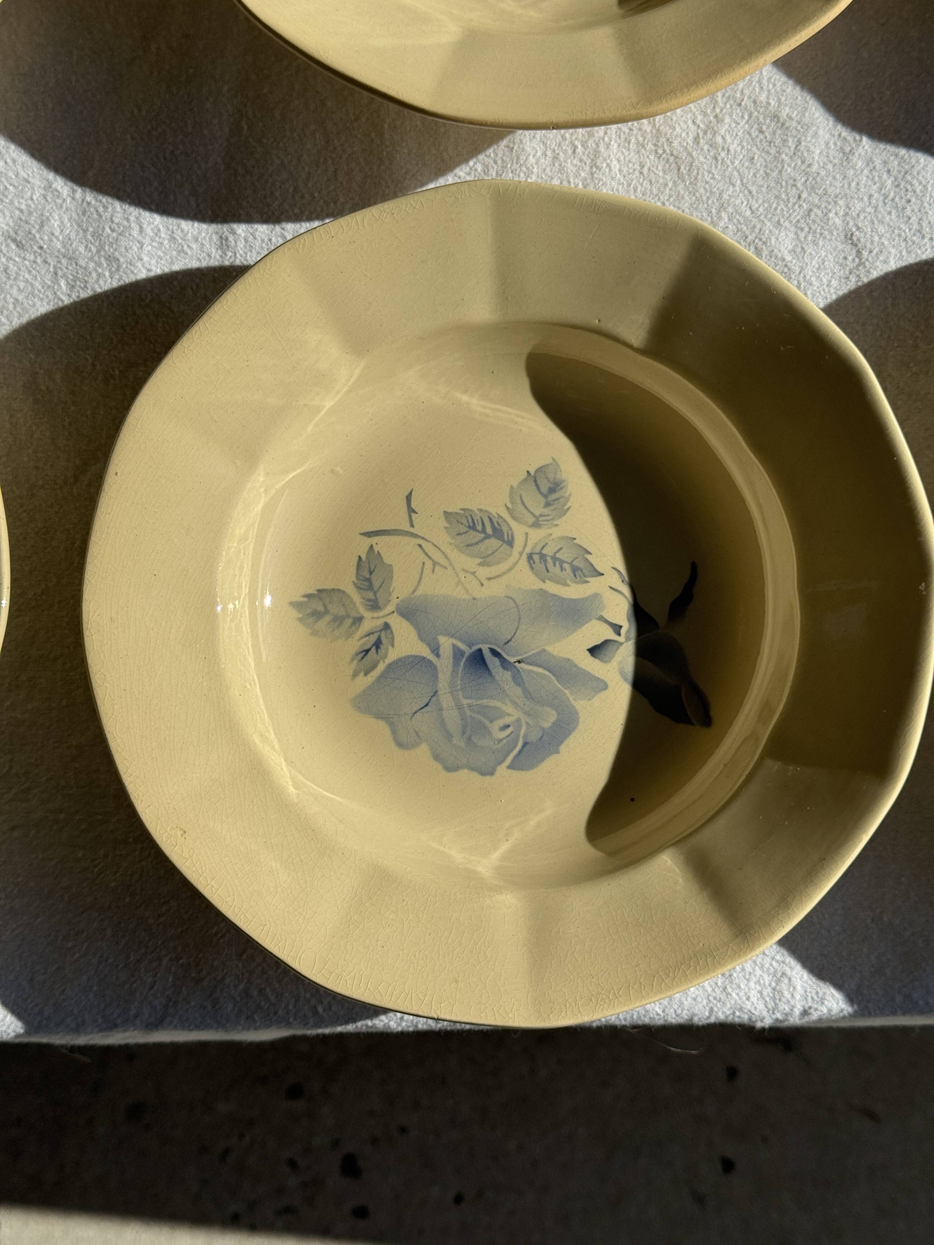 Set of 12 beige, pink, and blue deep plates from Digoin Sarreguemines, vintage.