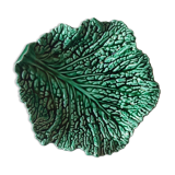 Empty dish pocket cabbage slurry Sarreguemines