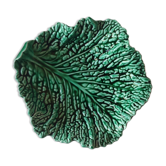Empty dish pocket cabbage slurry Sarreguemines