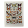 Planche illustrée sur les papillons (Europe) - 1930