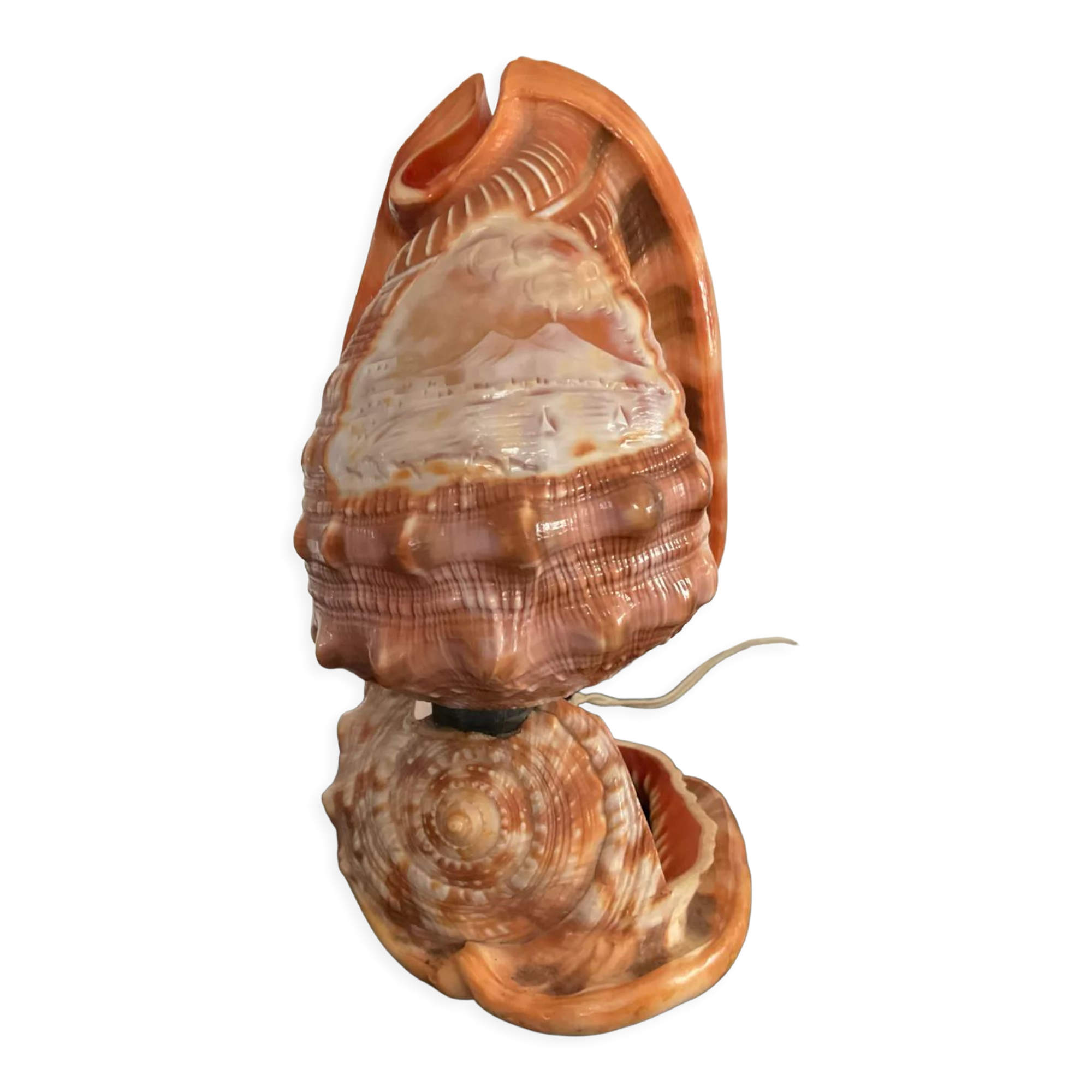 Vintage shell lamp from the 50s-60s