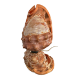 Vintage shell lamp from the 50s-60s